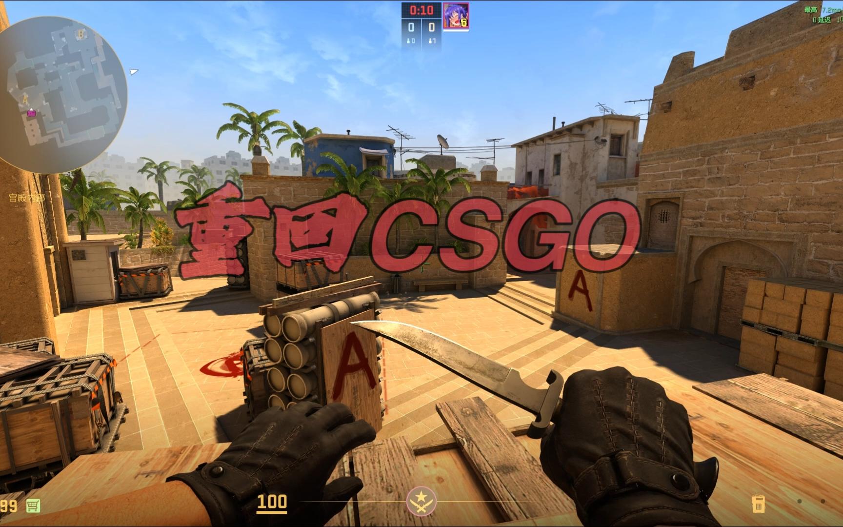 对日本羽毛 对日本羽毛